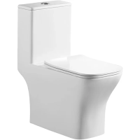 Унитаз-моноблок Belbagno NEON BB8617CPR-MN/SC безободковый с сиденьем микролифт.