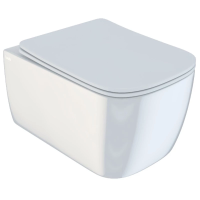 Унитаз подвесной IDDIS Bridge BRIRDSEi25 сиденье с микролифтом