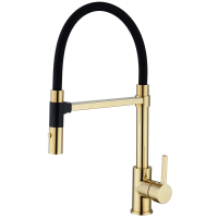 Смеситель Rose R133E для кухни, с гибким изливом, цвет золото / черный