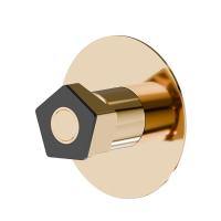 Смеситель Newform ParkLE 69775E.62.093 для душа, встраиваемый, на 1 поток, цвет PVD glossy gold/черный матовый