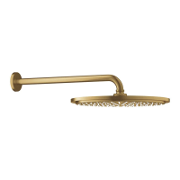 Верхний душ 310 мм Grohe Rainshower Cosmopolitan 26066GN0