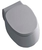 Унитаз подвесной Agape Pear 2 ACER0897WZ 38x52.8x25.5 см, сиденье с микролифтом, цвет: белый