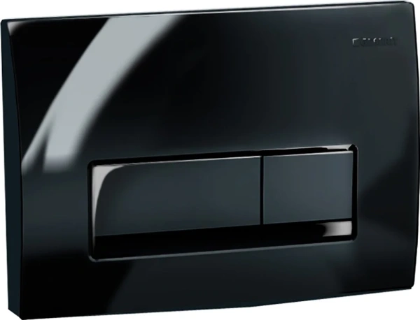кнопка для инсталляции geberit delta 50 115.119.dw.1 черный
