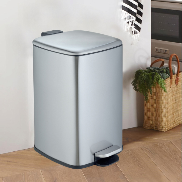 Мусорное ведро Weltwasser WW Berg MT 20L с педалью, хром матовый